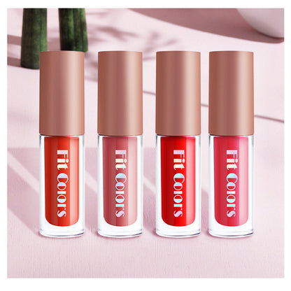 Fit Colors Matte Velvet Moisturizing Lip Gloss Lip Glaze Lipstick 4 Travel Small Set